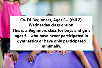 Co-Ed Beginner Gymnastics (Fall 2) - FA26