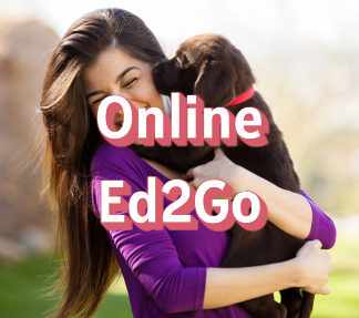 Navigate to this Product's page