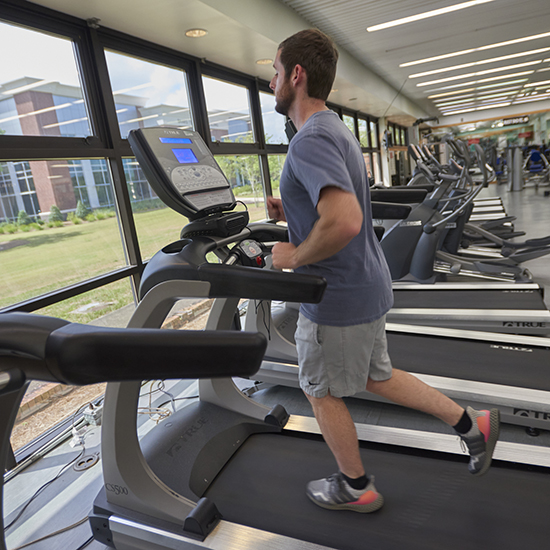 Recreation Fitness Lab Pensacola (96 hours)