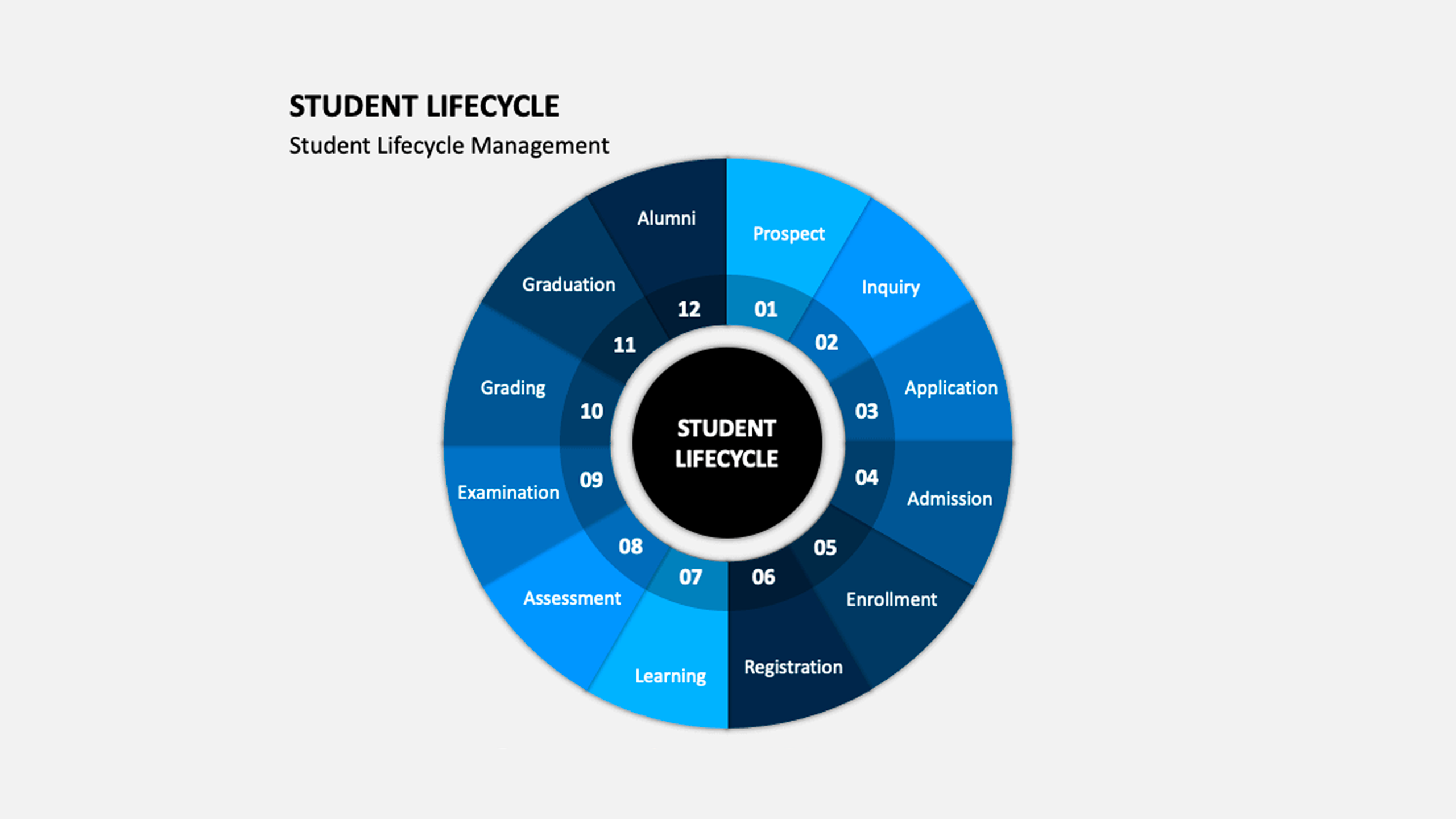 Workday Student Life Cycle - Products - Pensacola State College eStore