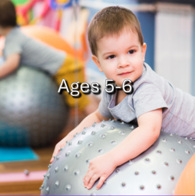 Preschool Gymnastics 3 (Fall 2) - FA25