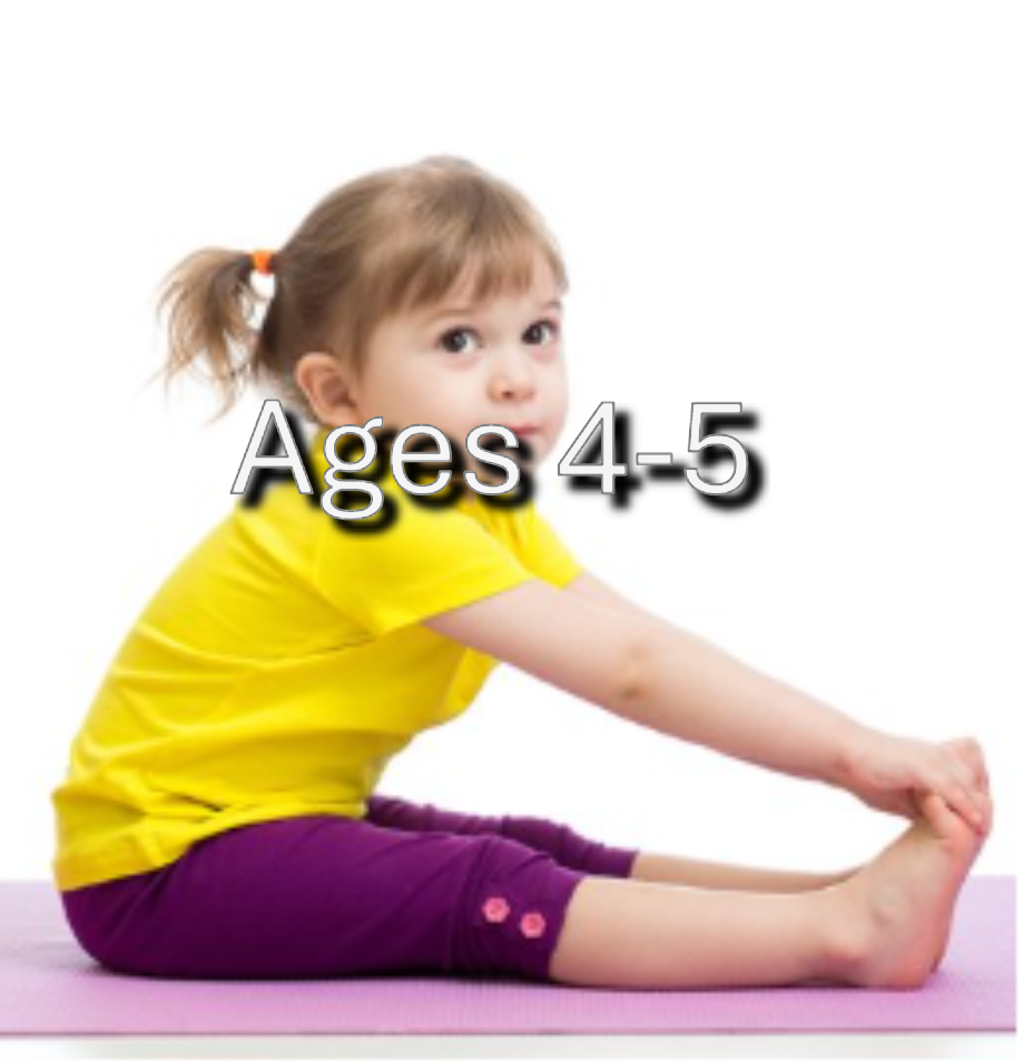 Preschool Gymnastics 2 (Fall 2) - FA25