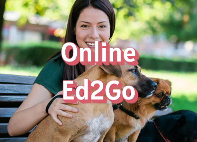 Navigate to this Product's page